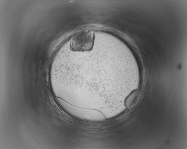 X0000115211318200912091149