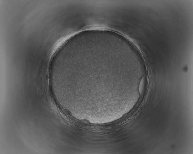 X0000115211319200912091149