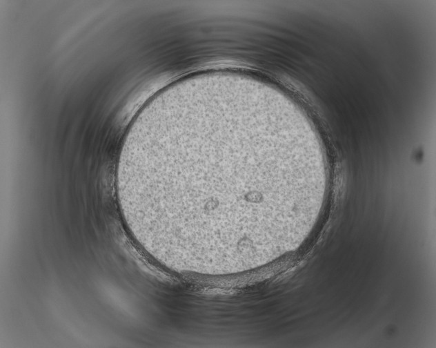 X0000115211321200912091149