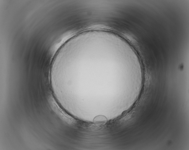 X0000115211322200912091149