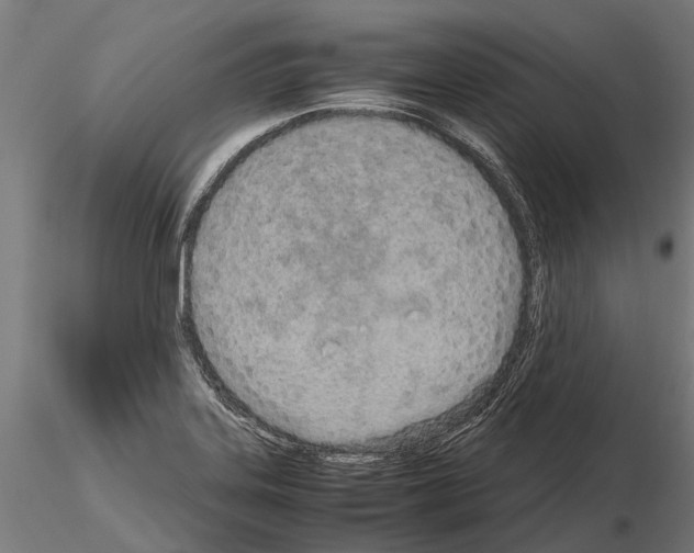 X0000115211323200912091149