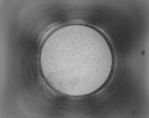 X0000115211325200912091149