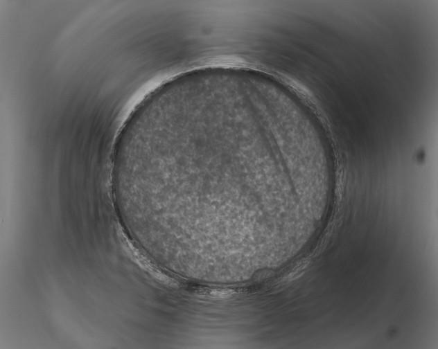 X0000115211326200912091149