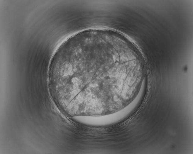 X0000115211327200912091149