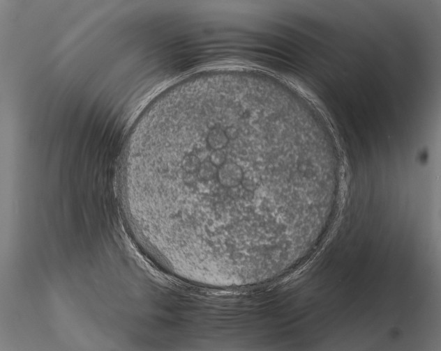 X0000115211329200912091149