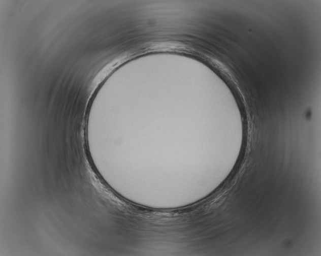 X0000115211330200912091149