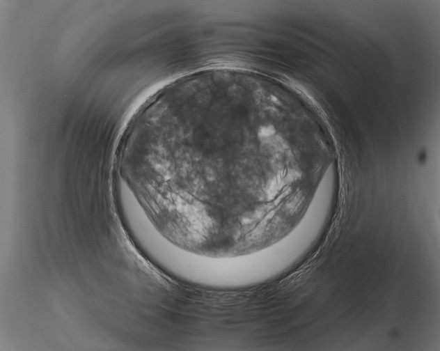 X0000115211331200912091149