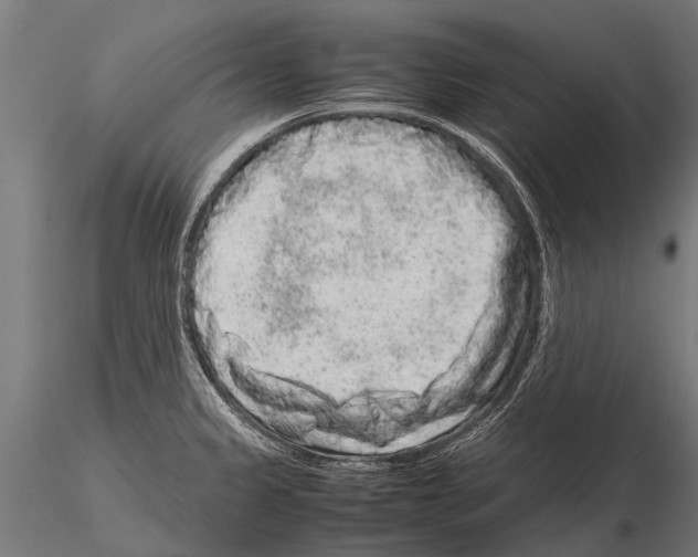 X0000115211333200912091149