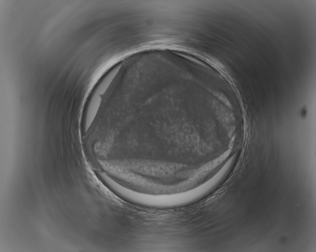 X0000115211334200912091149