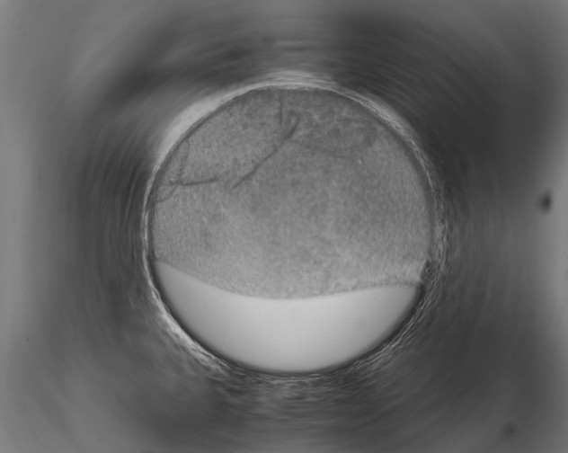 X0000115211335200912091149