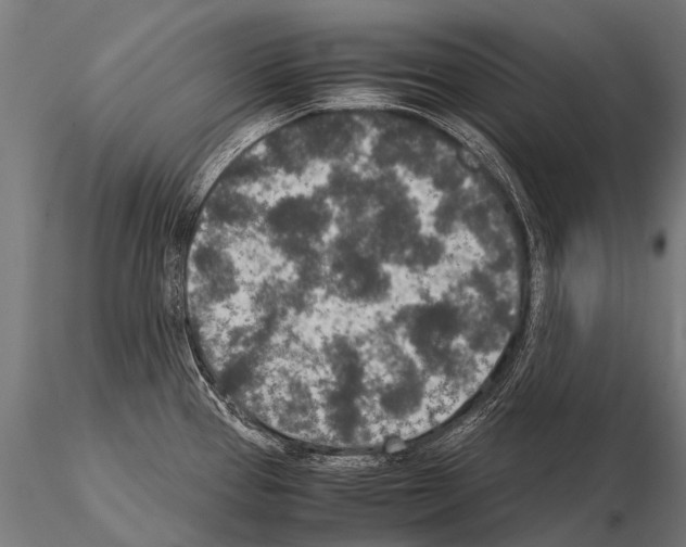 X0000115211337200912091149