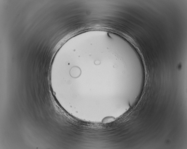 X0000115211338200912091149