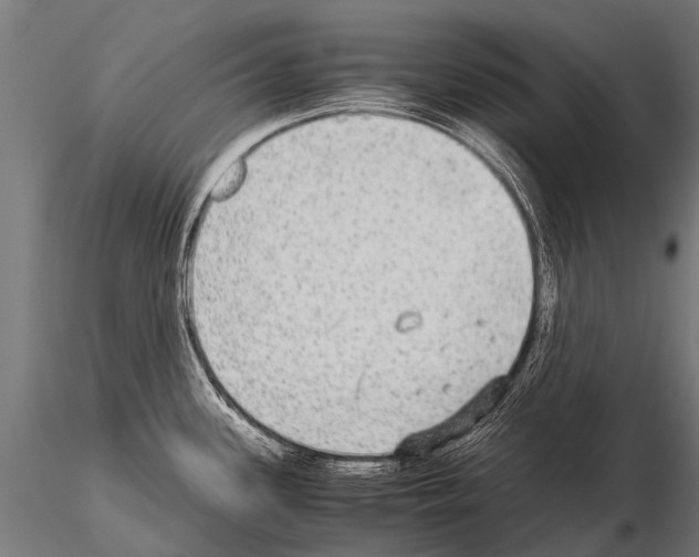 X0000115211339200912091149