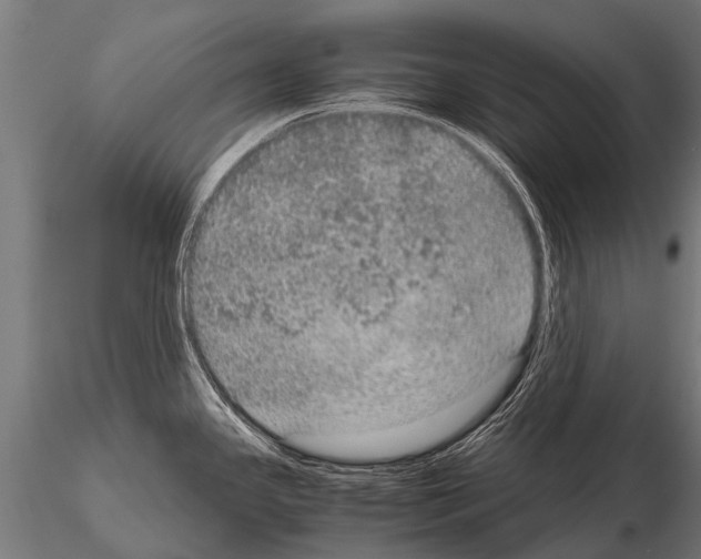 X0000115211341200912091149