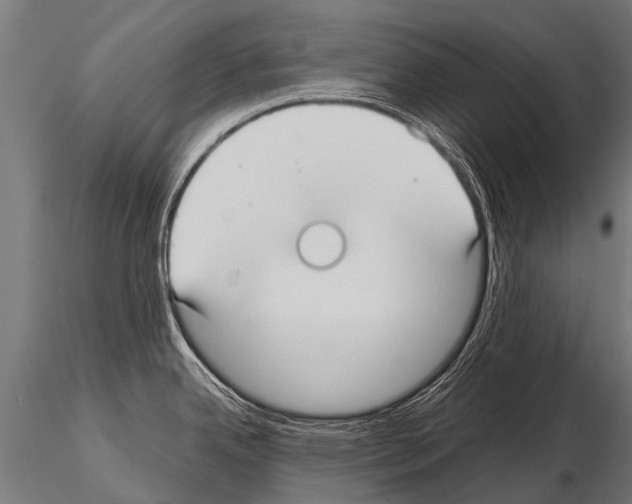 X0000115211342200912091149