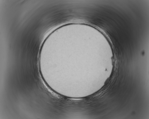 X0000115211343200912091149