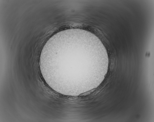 X0000115211345200912091149