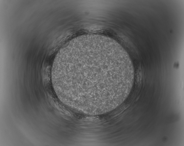 X0000115211346200912091149