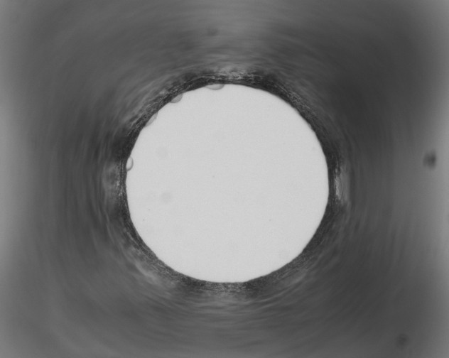 X0000115211347200912091149