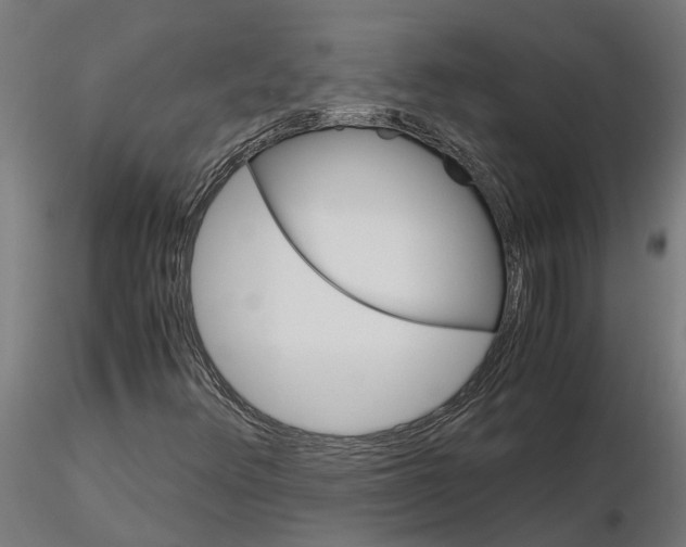 X0000115211348200912091149