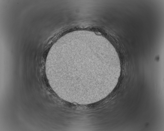 X0000115211349200912091149