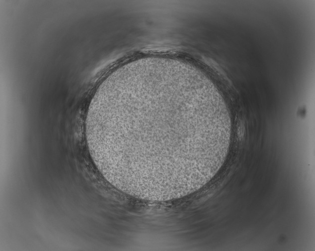 X0000115211350200912091149