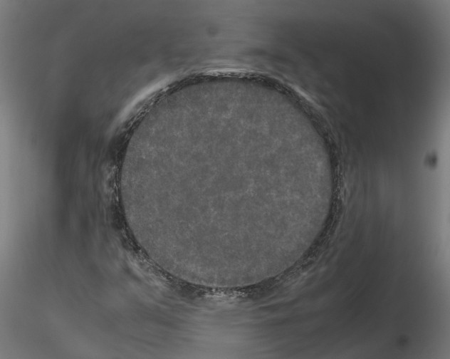 X0000115211351200912091149