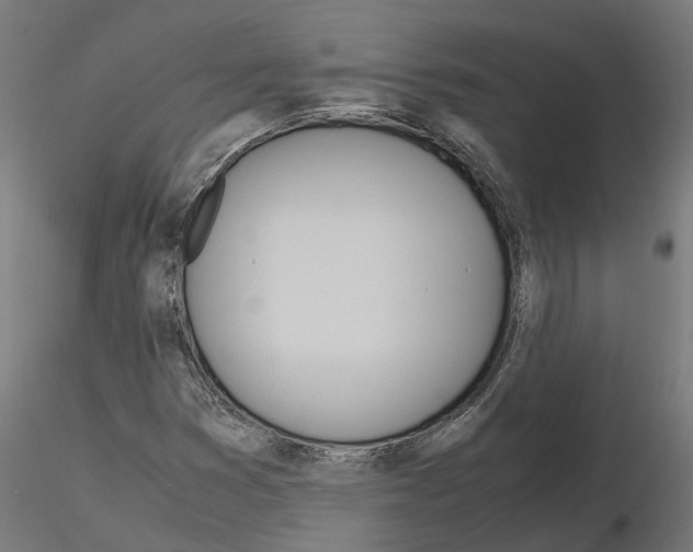 X0000115211353200912091149