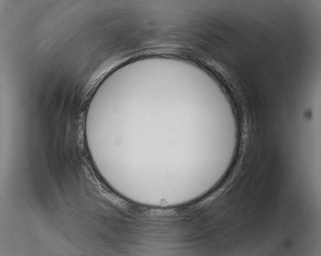 X0000115211354200912091148