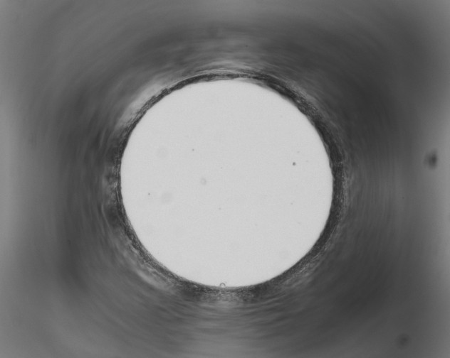 X0000115211355200912091148