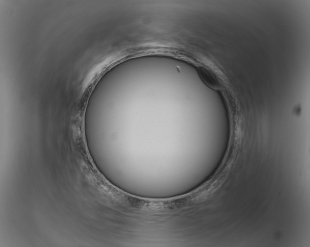 X0000115211357200912091148