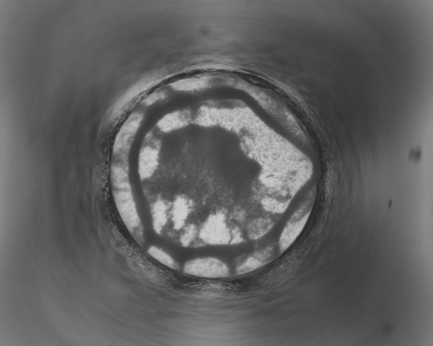 X0000115211359200912091148