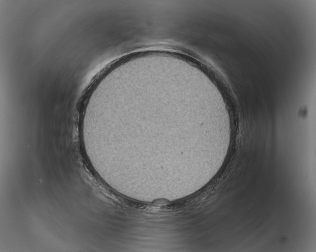 X0000115211360200912091148