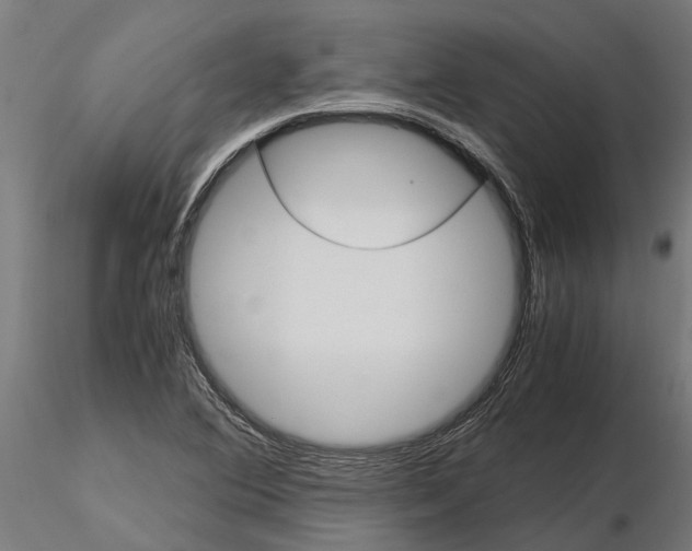 X0000115211364200912091148