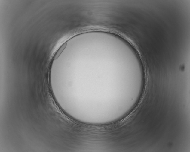 X0000115211365200912091148