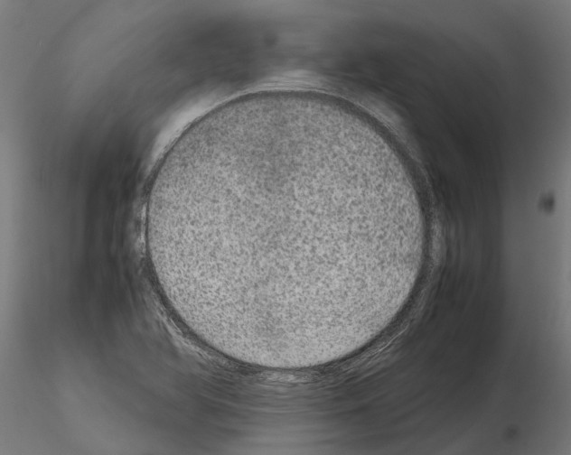 X0000115211366200912091148