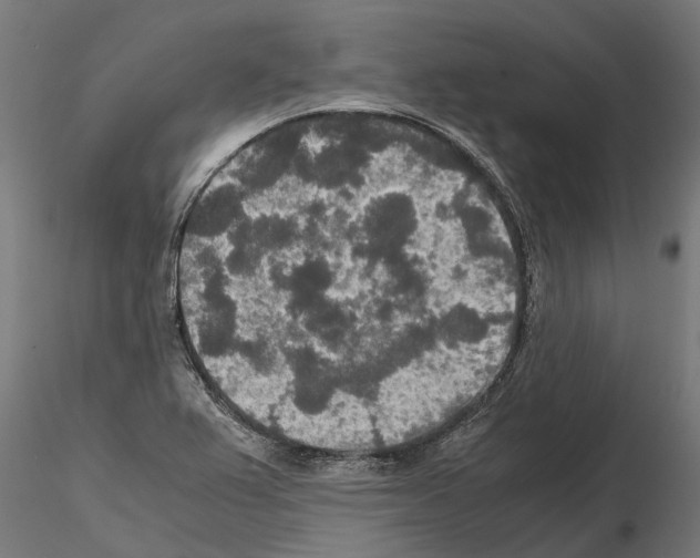 X0000115211367200912091148