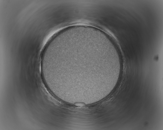 X0000115211368200912091148