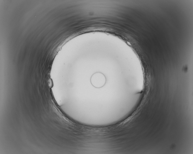 X0000115211369200912091148