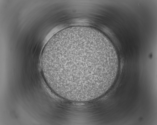 X0000115211370200912091148