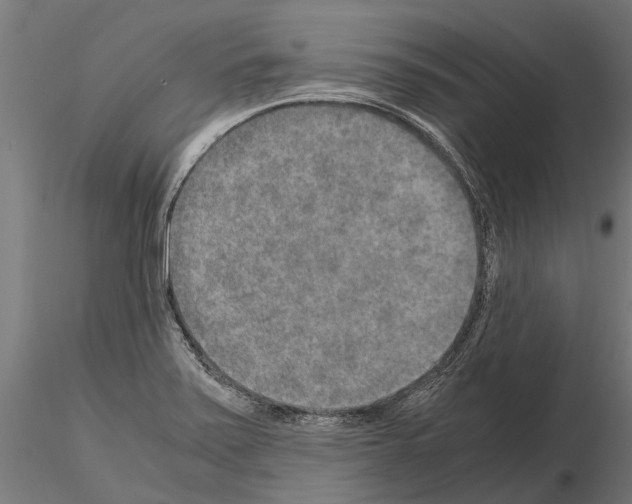 X0000115211371200912091148