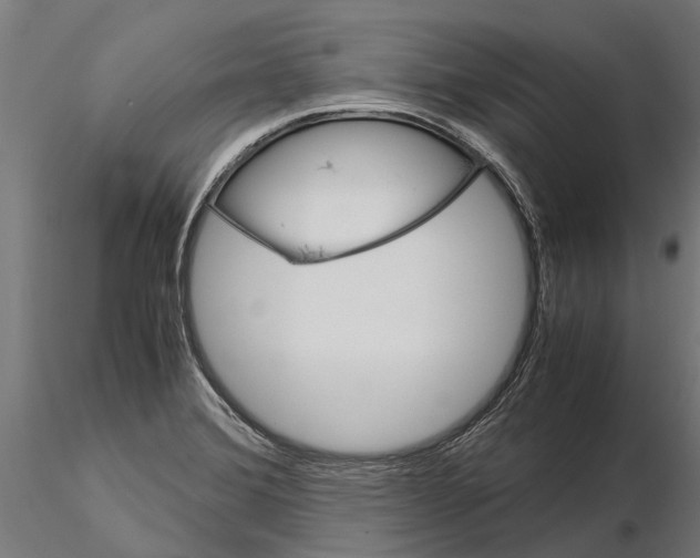 X0000115211372200912091148