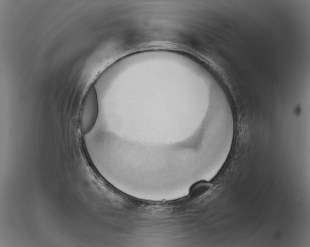 X0000115211373200912091148