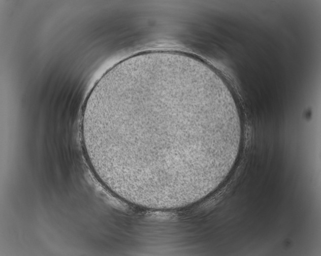 X0000115211374200912091148