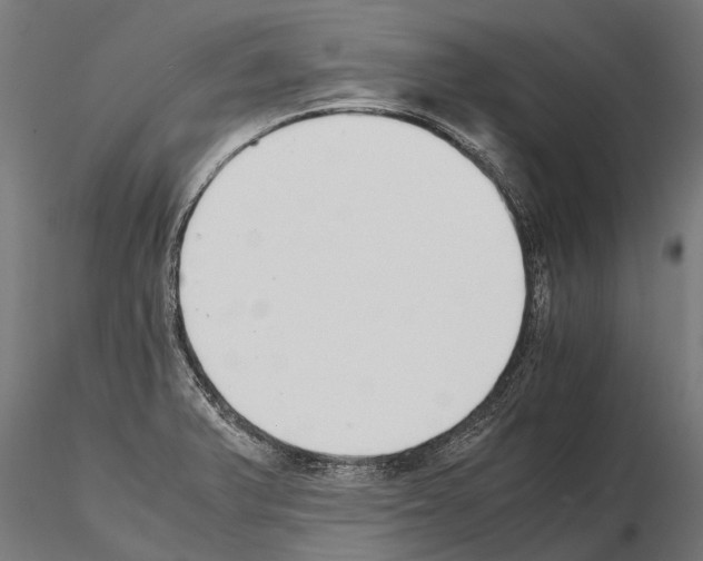 X0000115211375200912091148