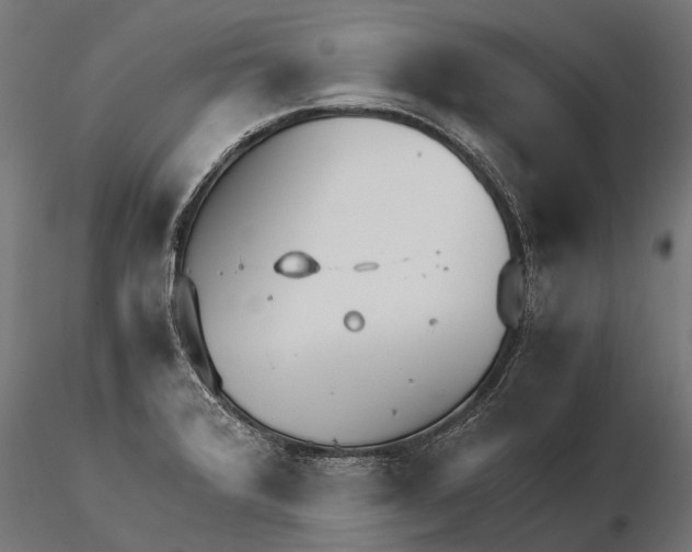 X0000115211376200912091148