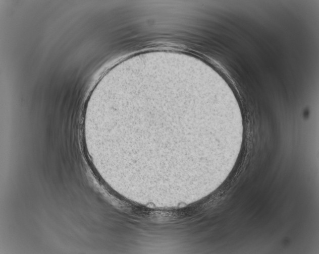 X0000115211379200912091148