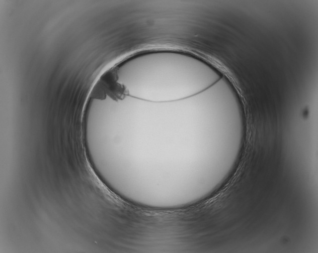 X0000115211380200912091148