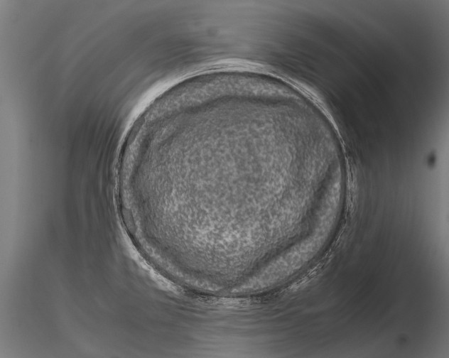 X0000115211381200912091148