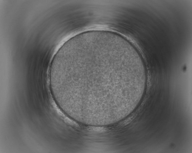 X0000115211382200912091148